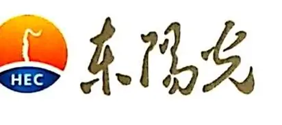 广东东阳光科技控股股份有限公司