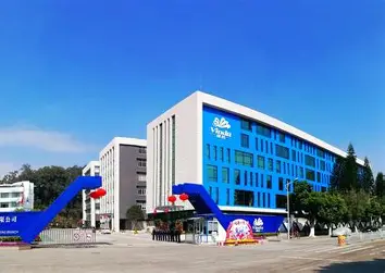 维达集团