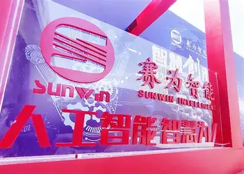 深圳市赛为智能股份有限公司