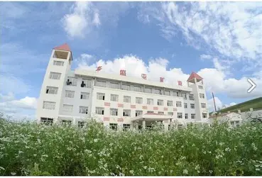 盛屯矿业集团股份有限公司