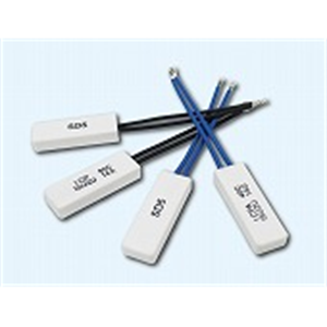 日本sakaguchi坂口电热ICP恒温器ICPA90