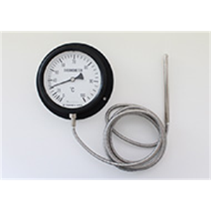 日本sakaguchi坂口电热壁挂式蒸气压指示器温度计 BN 型BN2