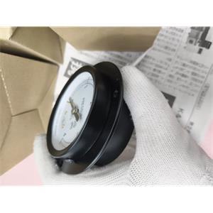 电商MRO供应链日本YAMAMOTO  压力计 DT14x60x1.0MPA