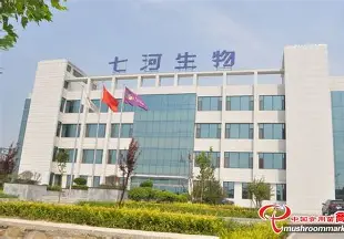 山东七河生物科技股份有限公司