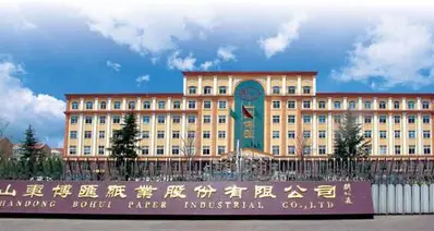 山东博汇纸业股份有限公司