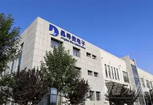 山东晶导微电子股份有限公司