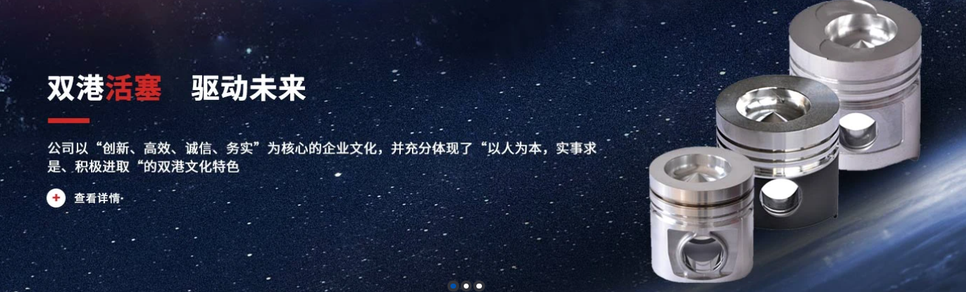 山东双港活塞股份有限公司