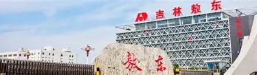 吉林敖东药业集团股份有限公司