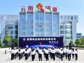 云南锡业集团有限责任公司