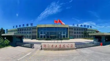 铜陵有色金属集团控股有限公司