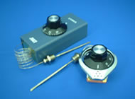 日本JUST  TTE 温控器TTZ2