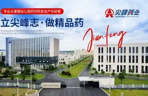 浙江尖峰集团股份有限公司