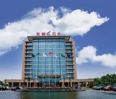 山东东明石化集团有限公司
