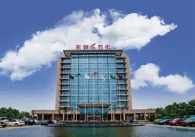 山东东明石化集团有限公司
