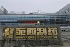 仲景宛西制药股份有限公司