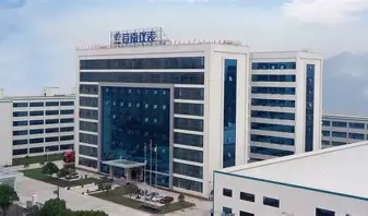 浙江苍南仪表集团股份有限公司